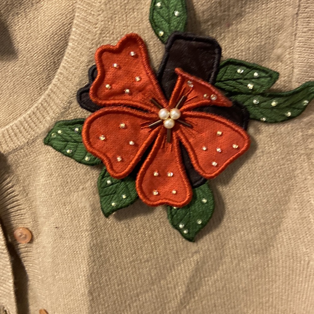 Final Price Accepted Fall Cardigan - image 3